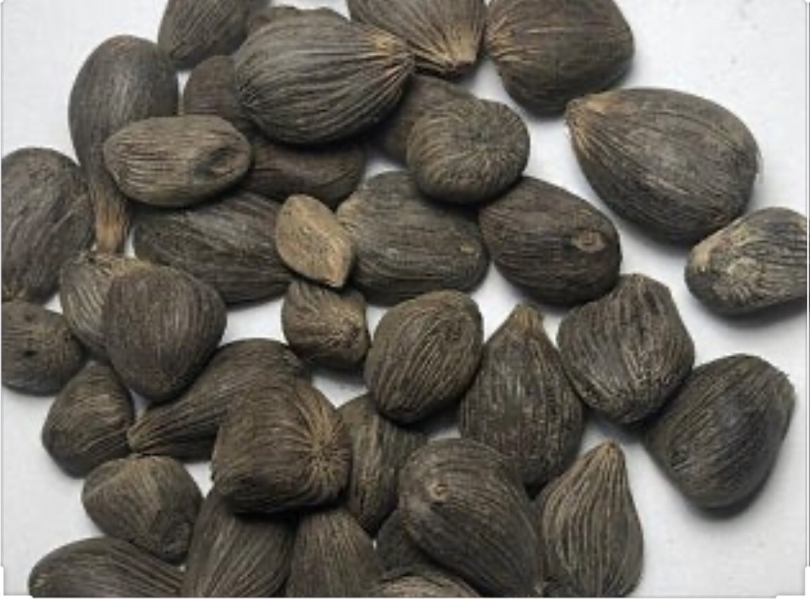 21 Palm Nuts (4&5 Eyes)