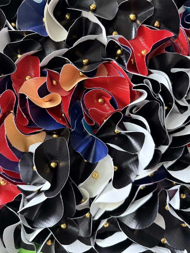 collection-image