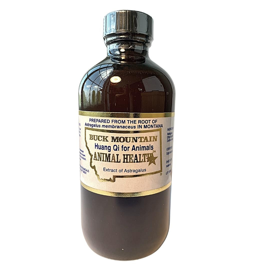 Organic Astragalus Tincture | Natural Immune Booster for Dogs & Cats