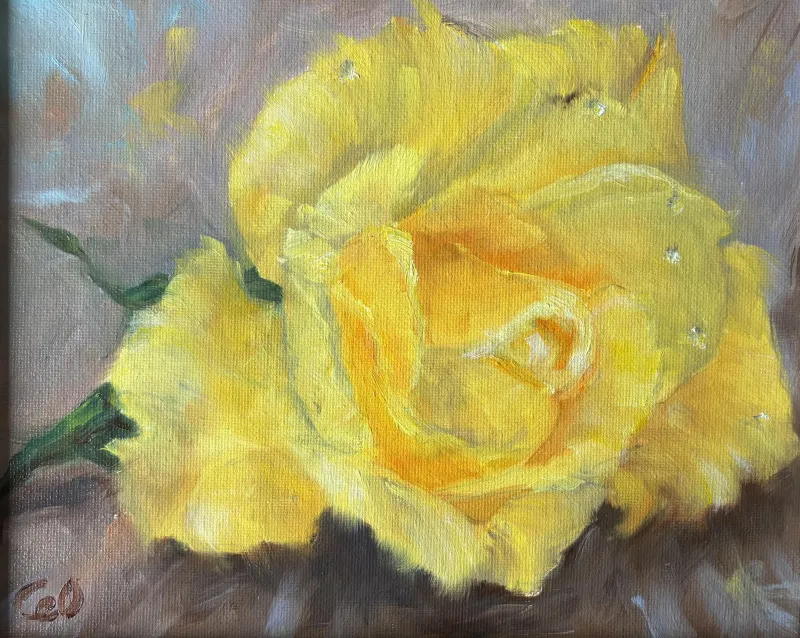 ecommerce.upsell.product_image_alt