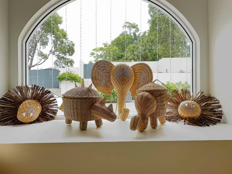 collection-image