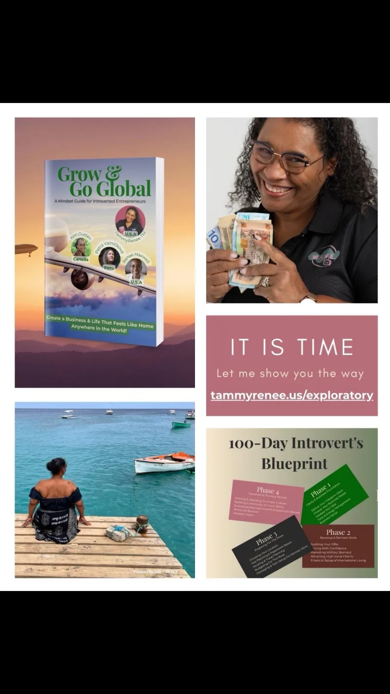 100-Day Introvert Blueprint for Business and Life abroad Plus Grow & Go Global Book A Mindset Guide for Introverts