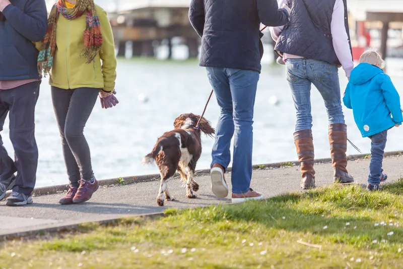 Couple walking dog along the coast near Shanklin on a sunny winter afternoon