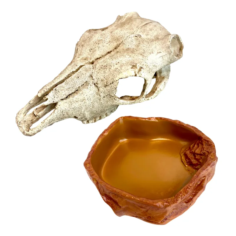 collection-image