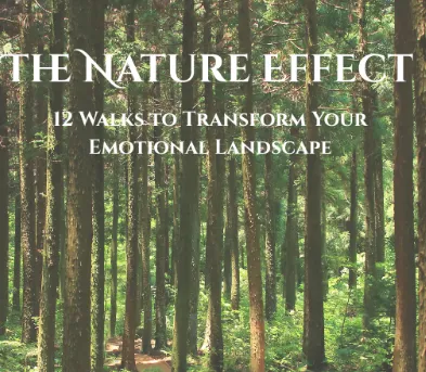 ecommerce.upsell.product_image_alt