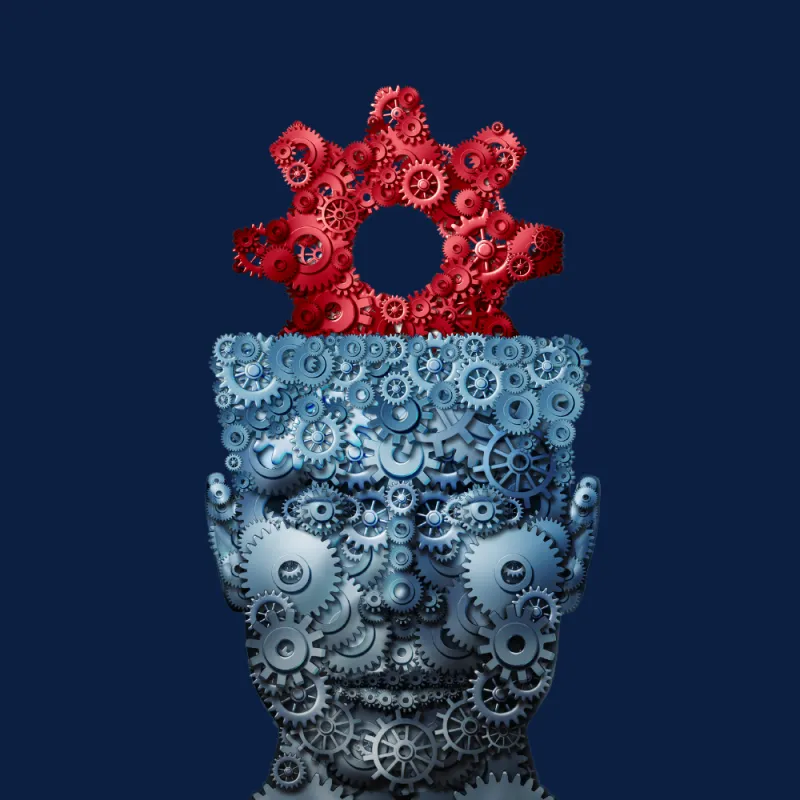 collection-image