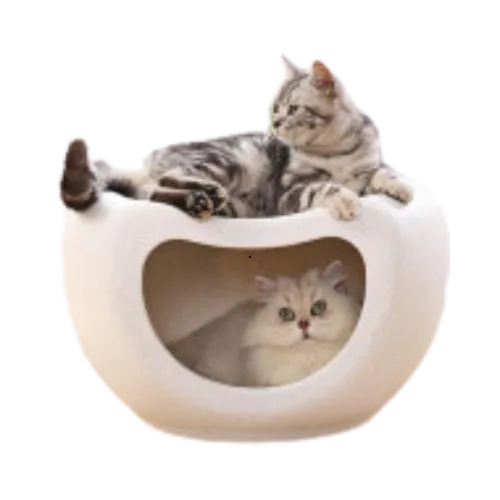 collection-image