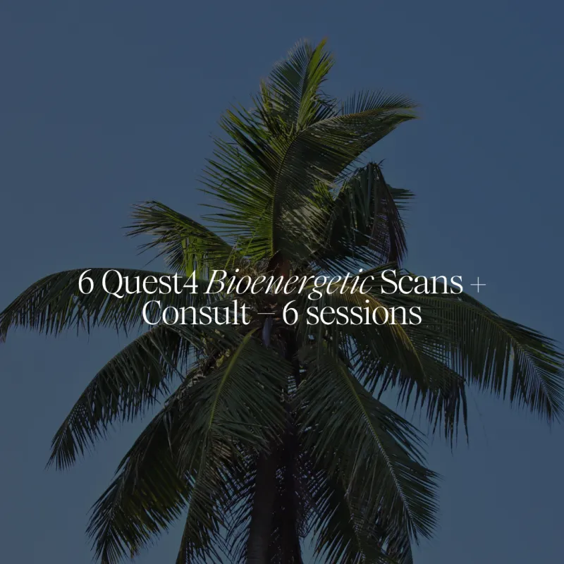 6 Qest4 Bioenergetic Scans + Consult – 6 sessions