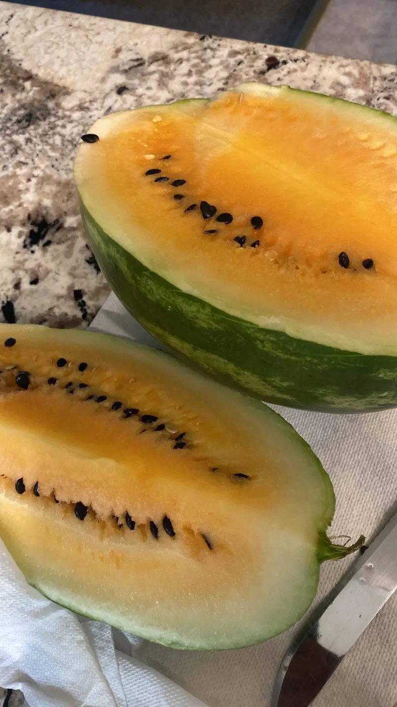 Yellow Seeded Watermelon