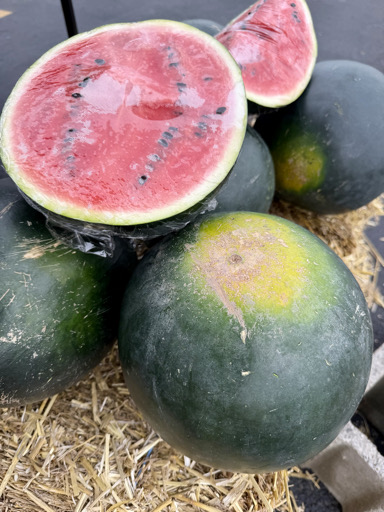 Black Diamond Watermelon — Seeded