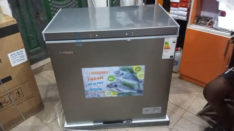 Snowsea BD-258G 170/176 Liters Chest Deep Freezer with Inner Glass Cover