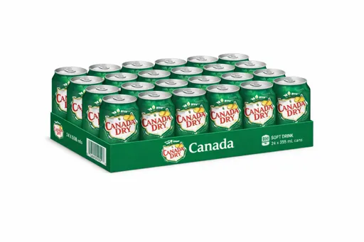 Canada dry 24/cs