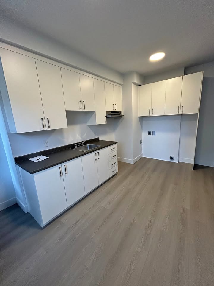 335 rue Ball — 3 ½