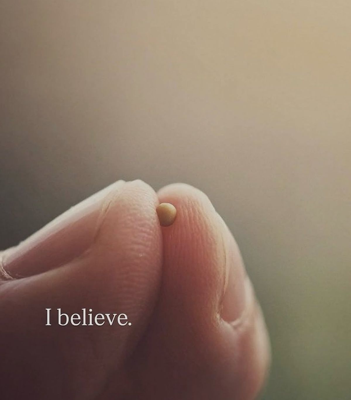 ecommerce.upsell.product_image_alt