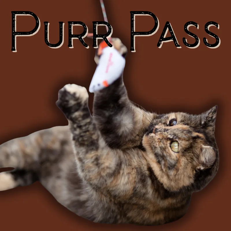 ecommerce.upsell.product_image_alt