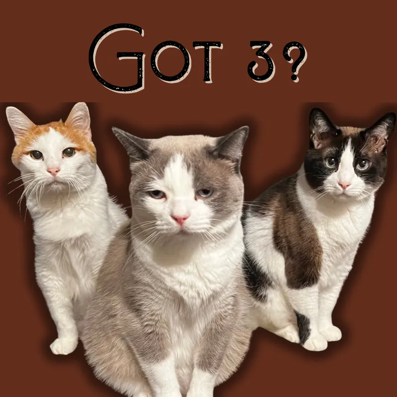 ecommerce.upsell.product_image_alt