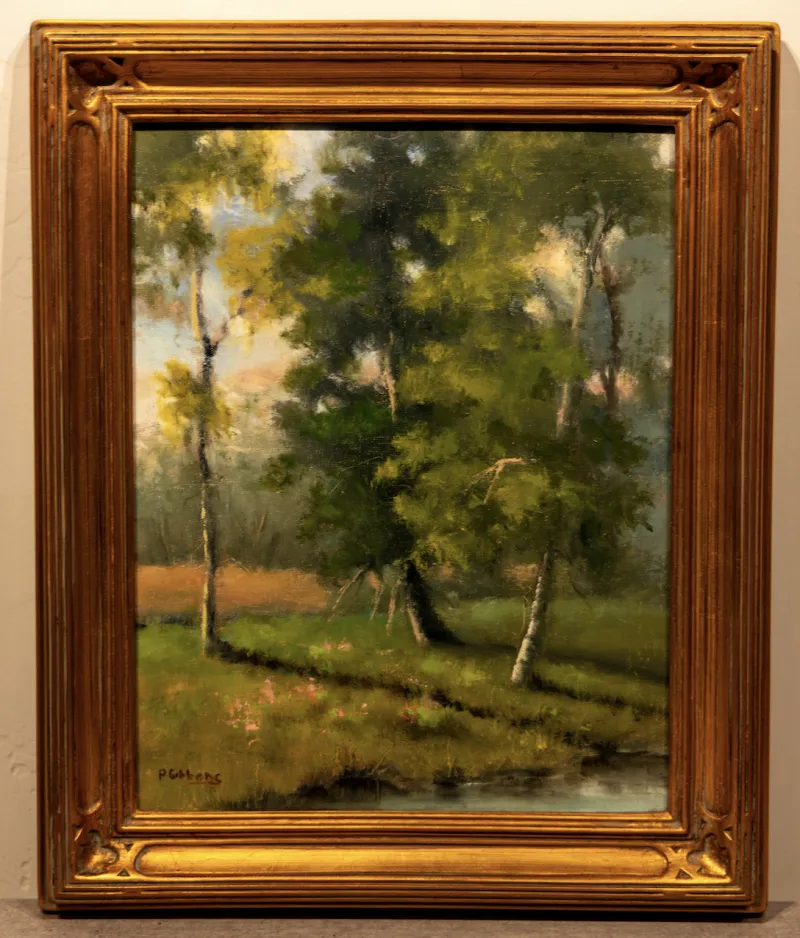 collection-image