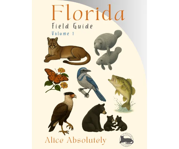 ecommerce.upsell.product_image_alt