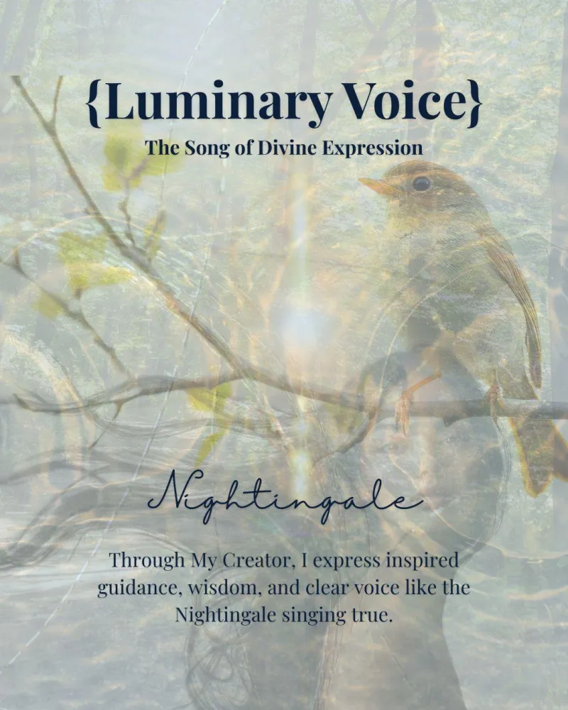 ecommerce.upsell.product_image_alt