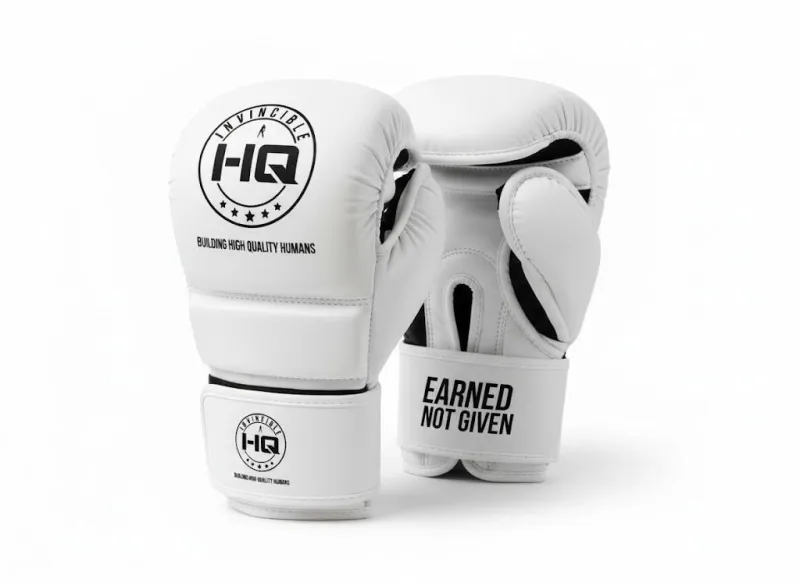Official Invincible HQ MMA Gloves