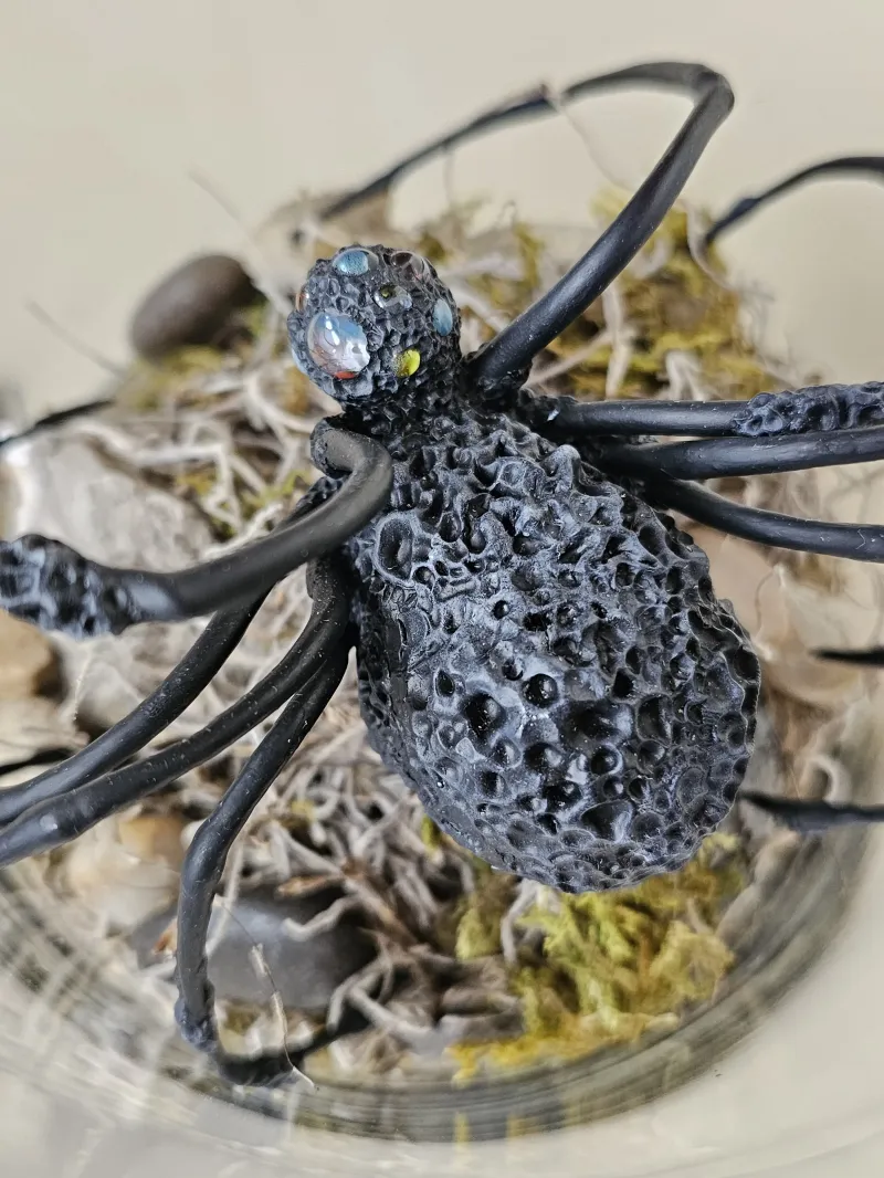 Insect Taxidermy