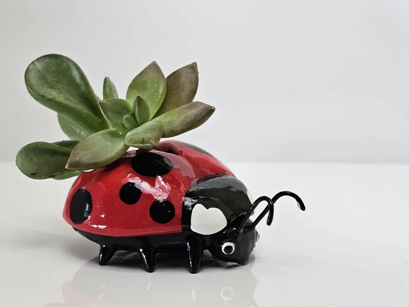 Ladybug Pots / Jewelry Holders