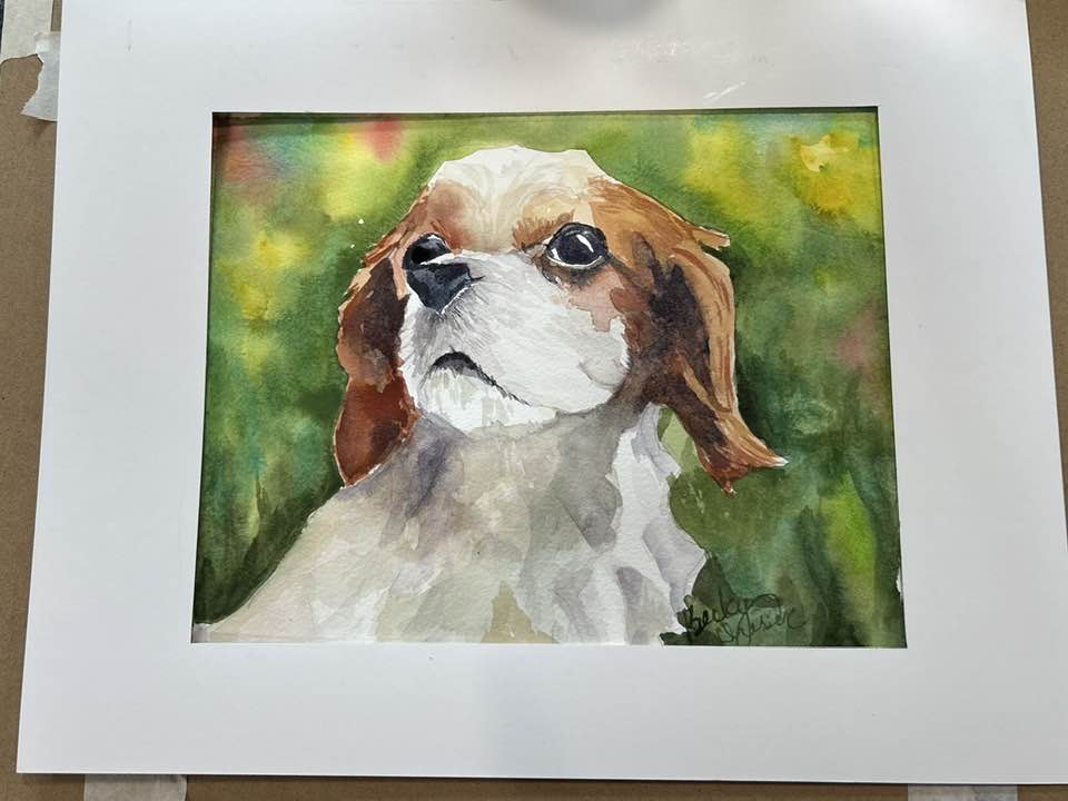 Dog