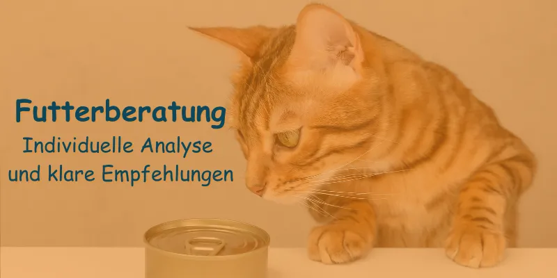 ecommerce.upsell.product_image_alt