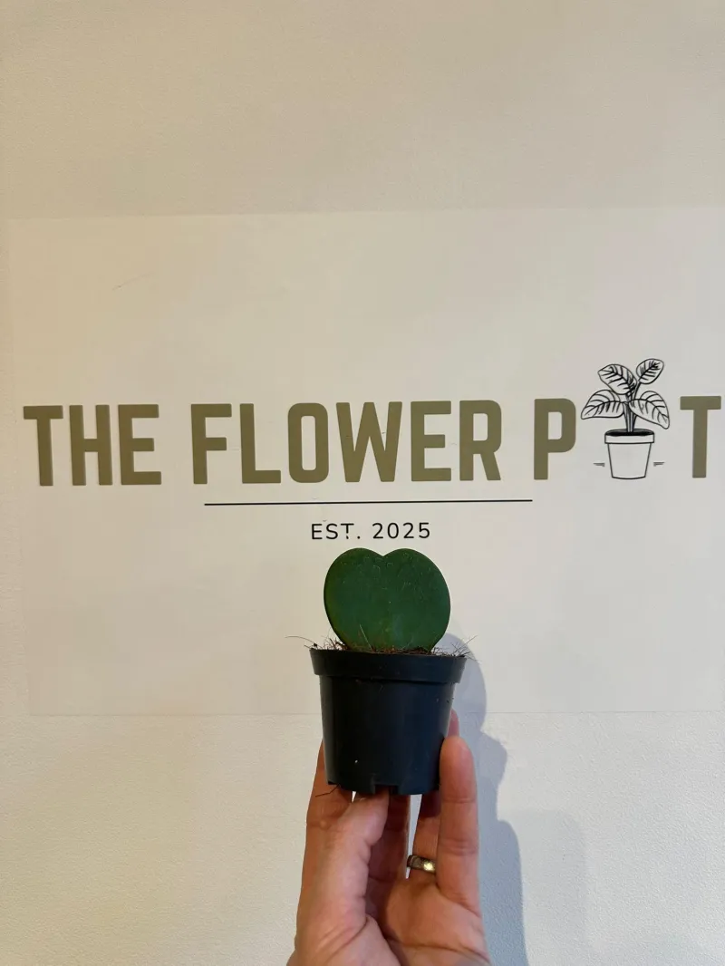 ecommerce.upsell.product_image_alt