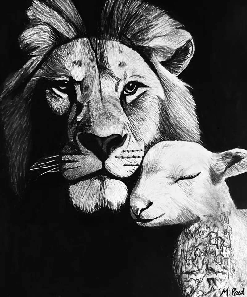 ecommerce.upsell.product_image_alt