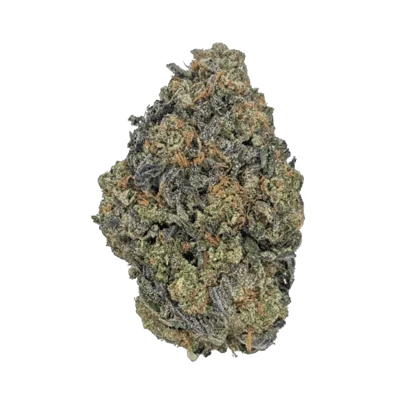 collection-image