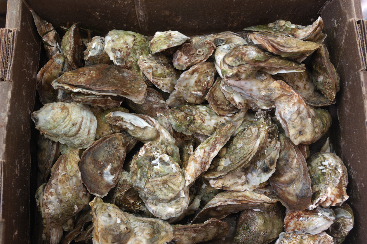 ecommerce.upsell.product_image_alt