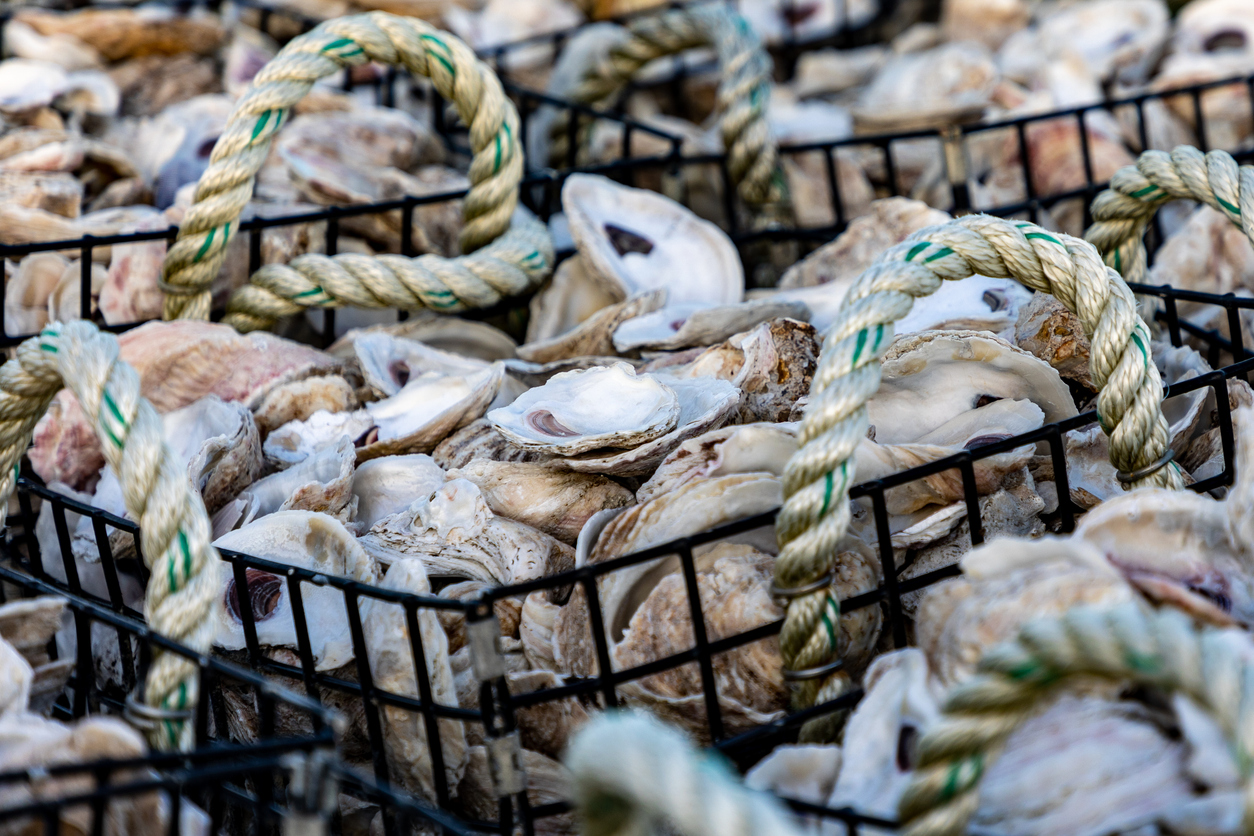 ecommerce.upsell.product_image_alt