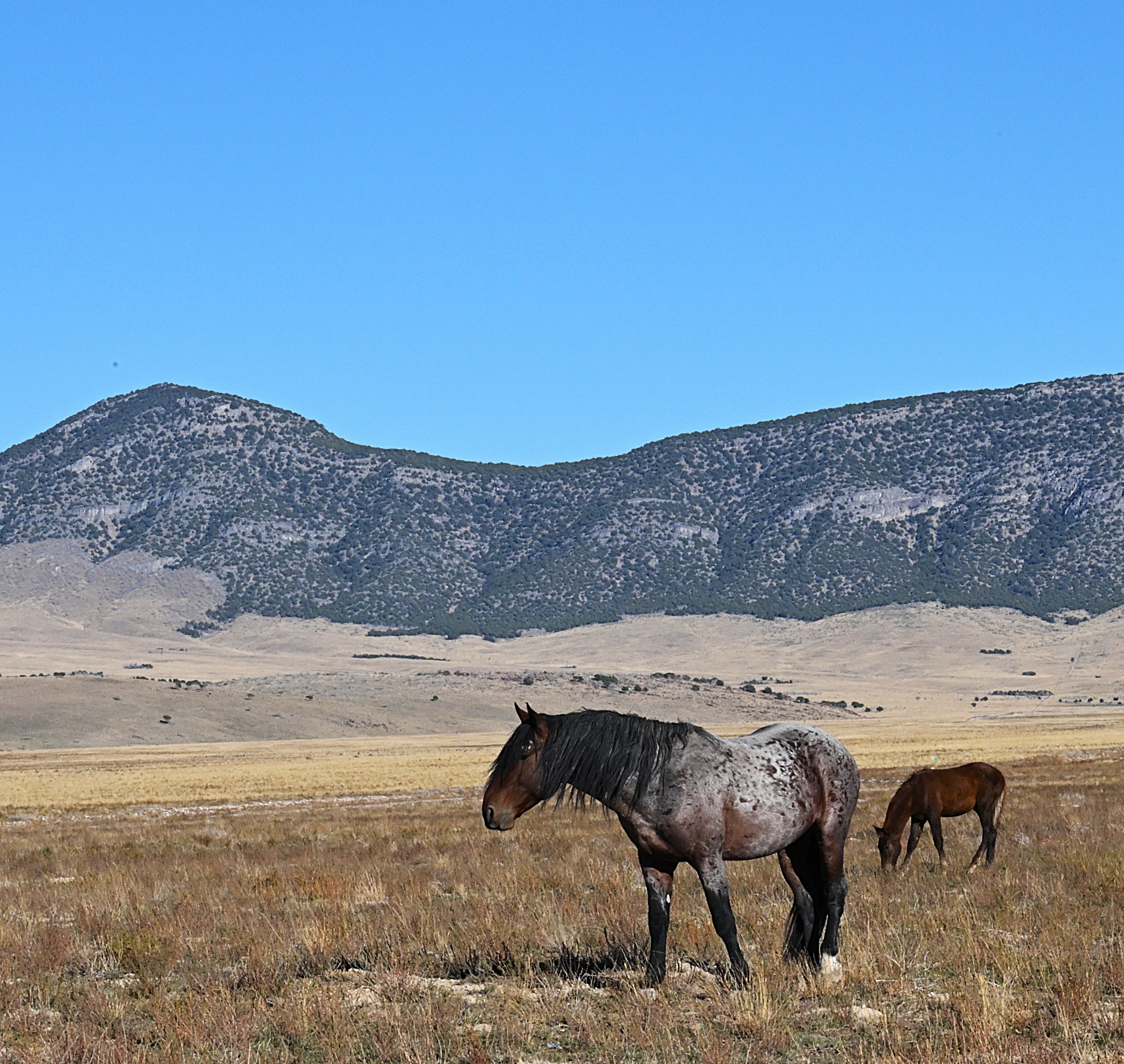 ecommerce.upsell.product_image_alt