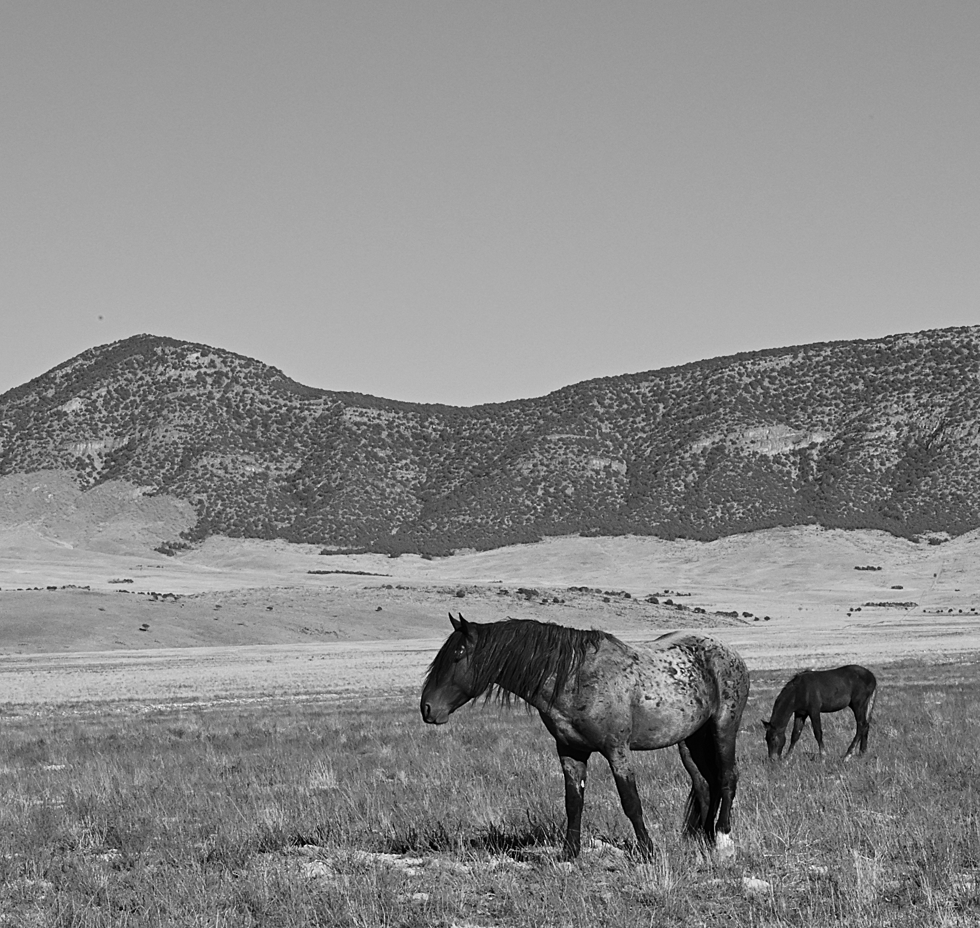 ecommerce.upsell.product_image_alt