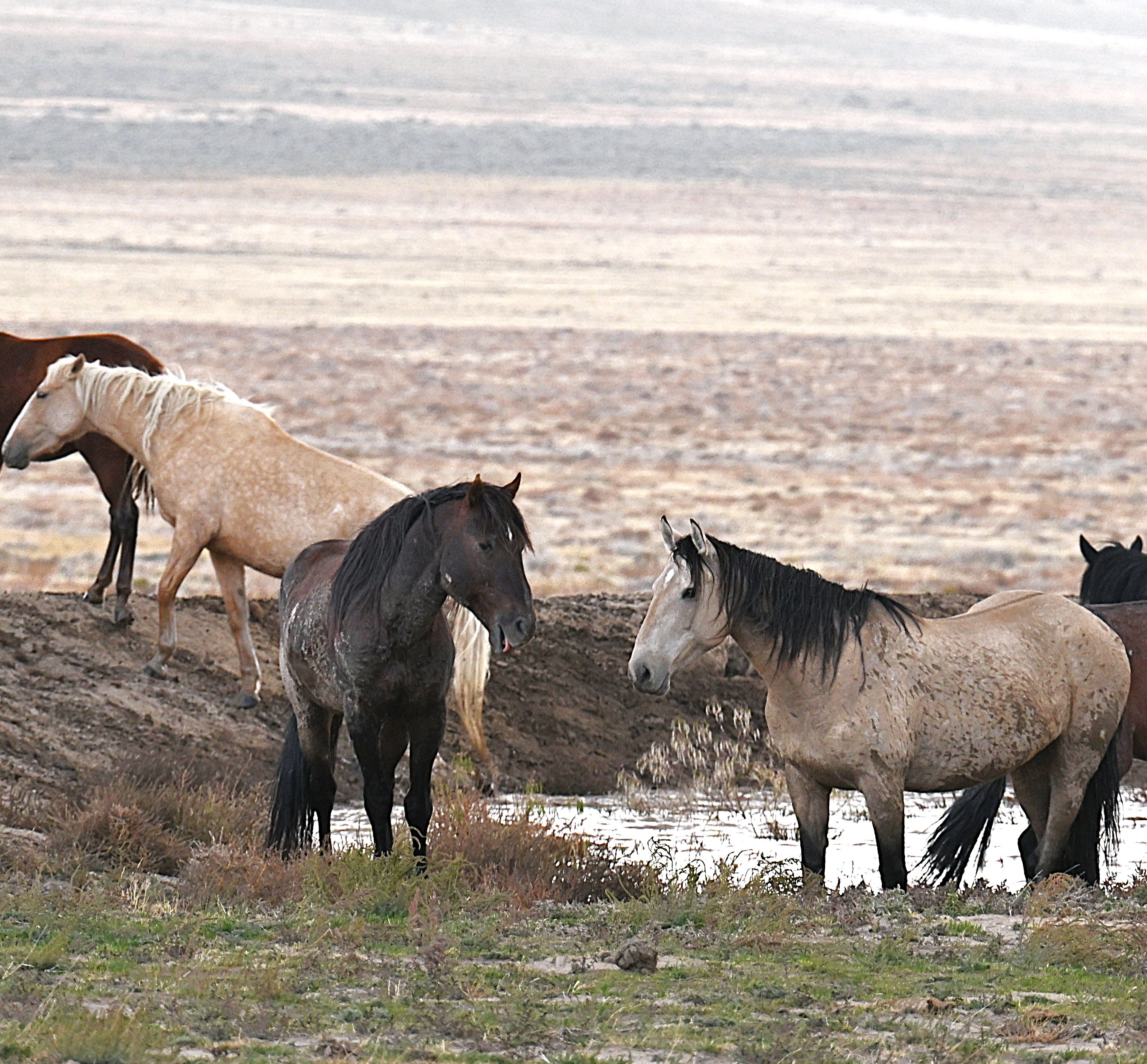 ecommerce.upsell.product_image_alt