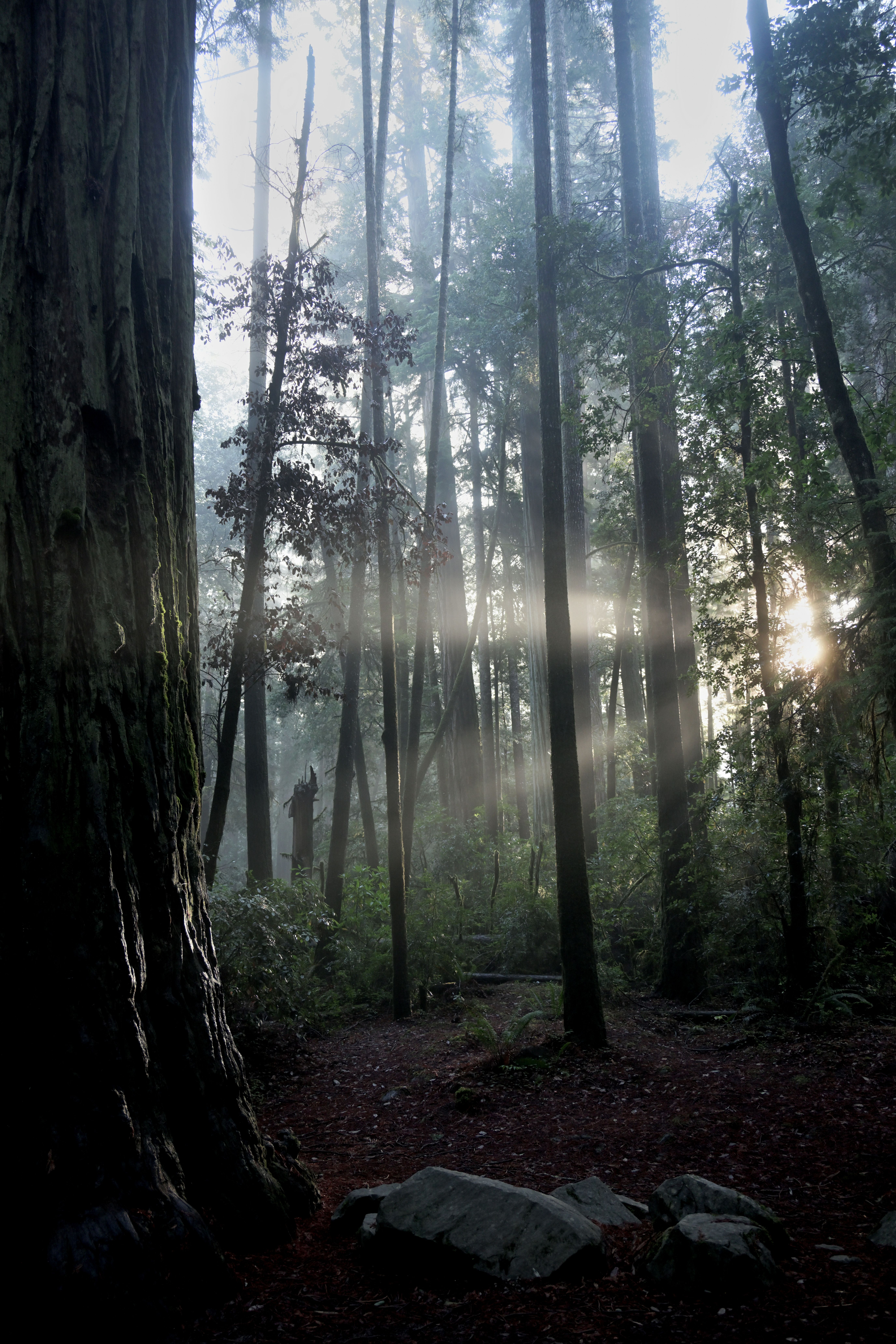 ecommerce.upsell.product_image_alt