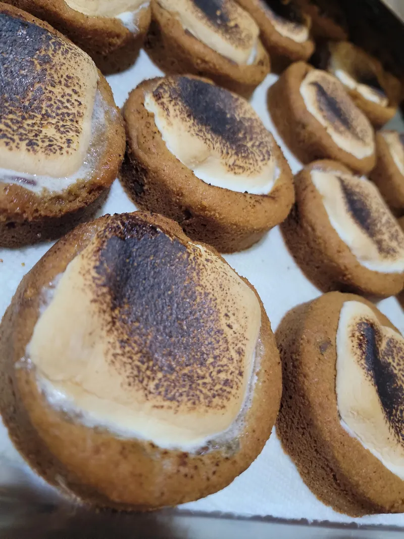 S'morkies