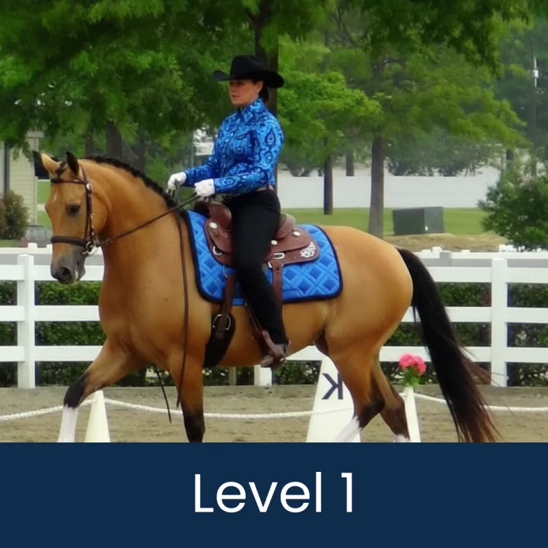 Western Dressage