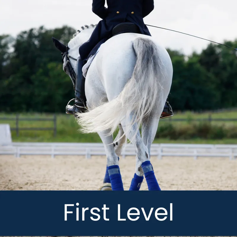 Dressage