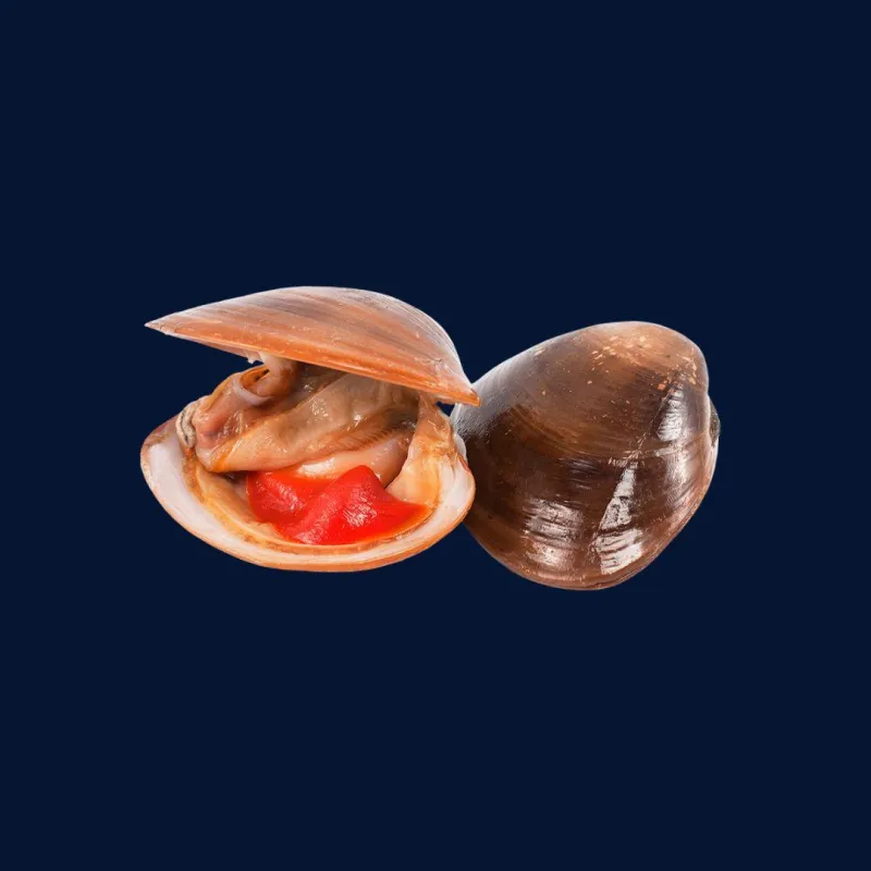 Almejas