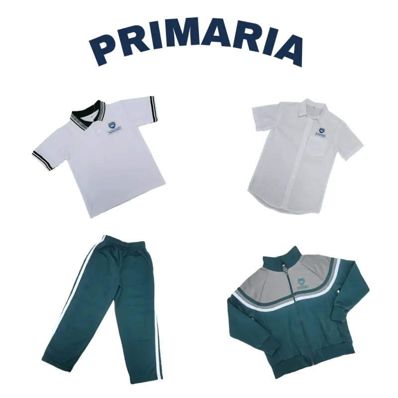 collection-image
