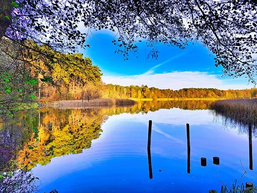 ecommerce.upsell.product_image_alt