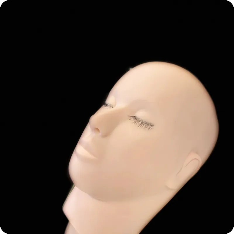 Practice Mannequin With Layers