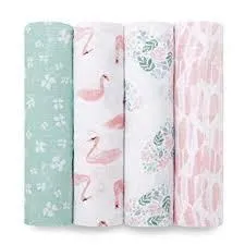 collection-image