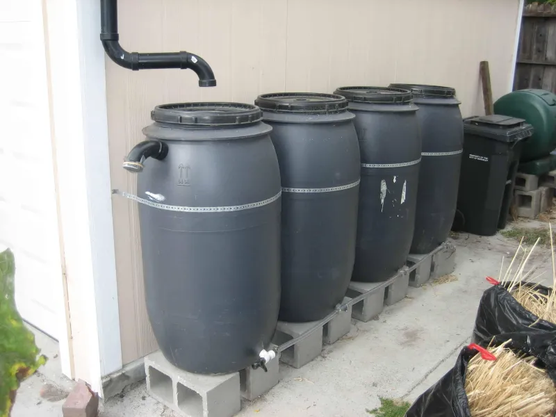 collection-image