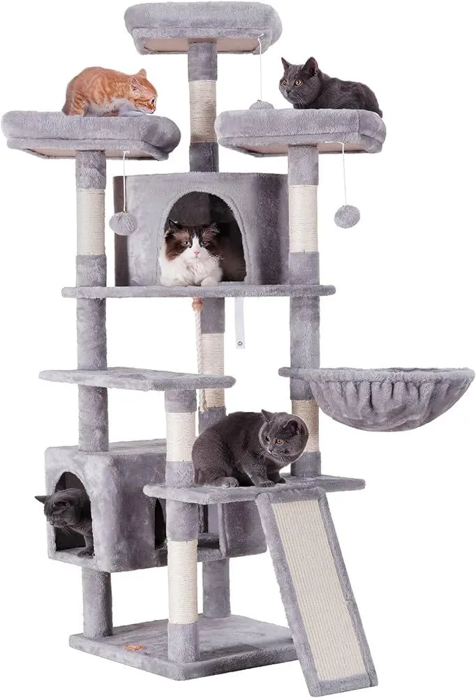 collection-image