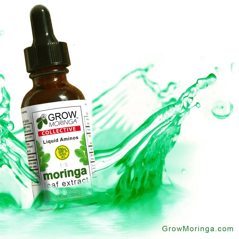 10 bottles- 1oz Moringa Leaf Extract Tinctures