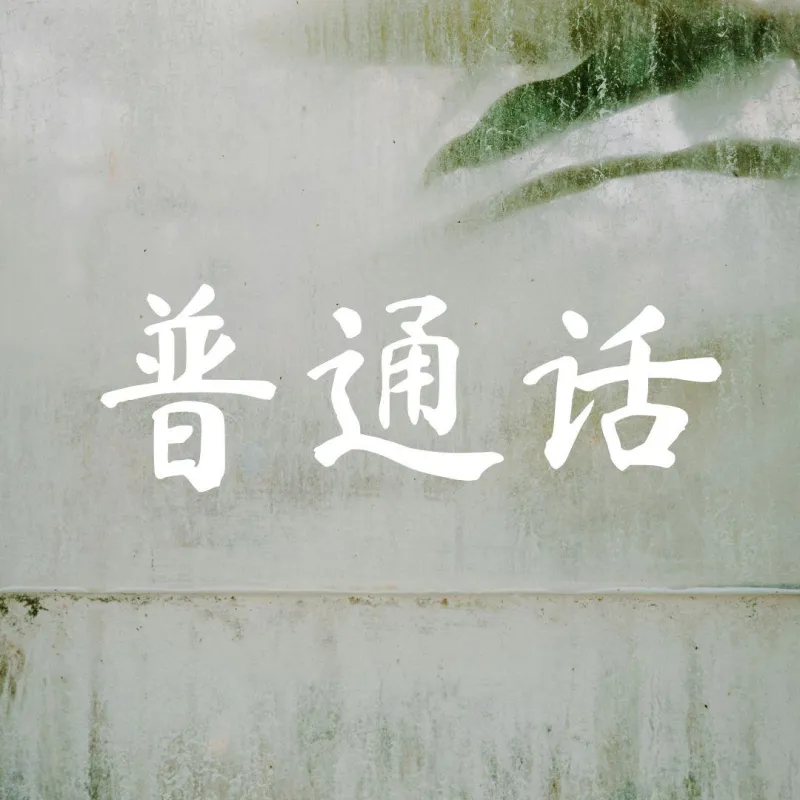 collection-image