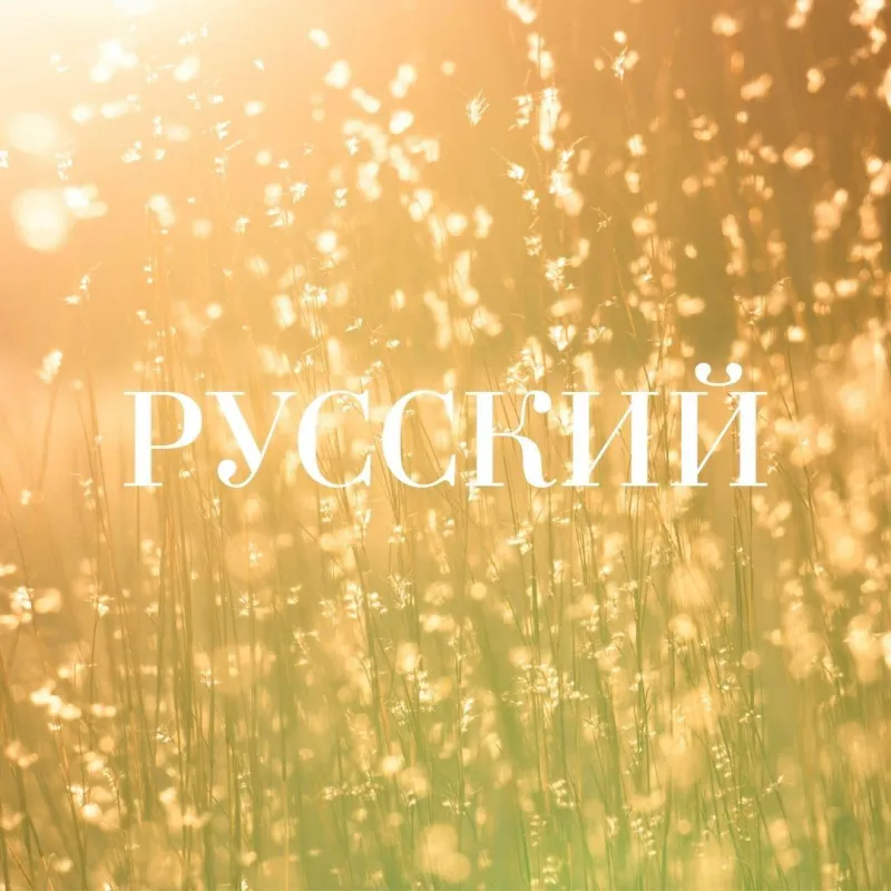 collection-image